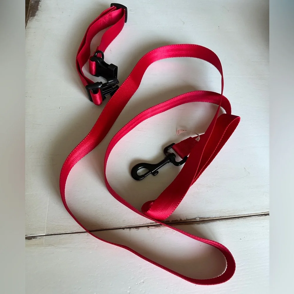 Bright Red Dog Leash Secure Clasps Durable Pet Walking Accessory Safety Lead